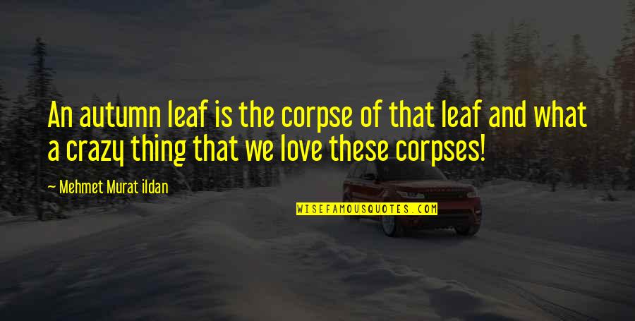 Zbrka Domaci Quotes By Mehmet Murat Ildan: An autumn leaf is the corpse of that Zbrka Domaci Quotes By Mehmet Murat Ildan: An autumn leaf is the corpse of that