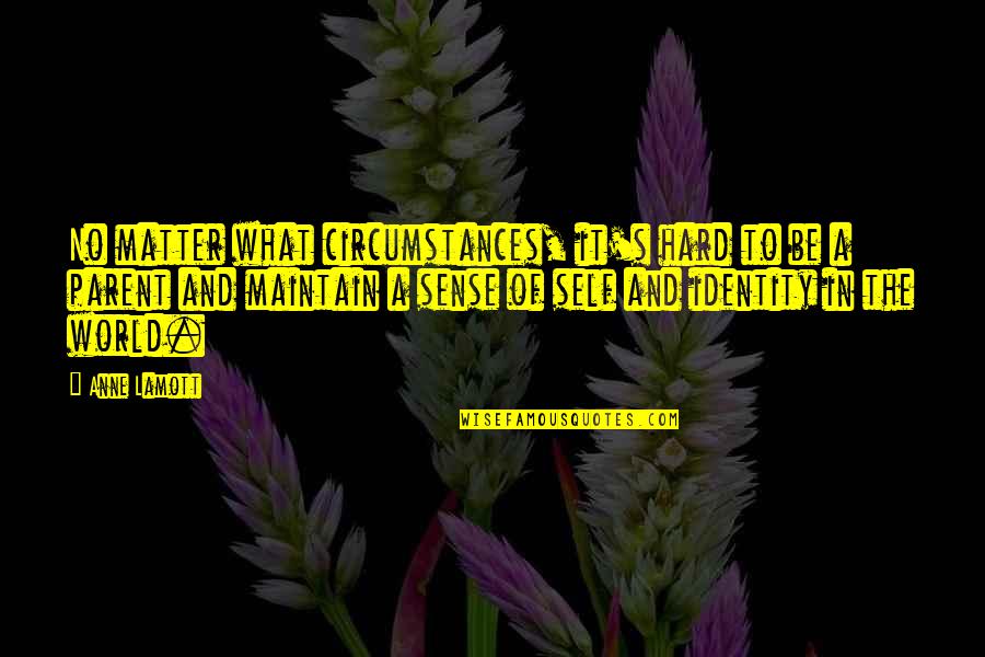 Zdania Wsp Lrzedne Quotes By Anne Lamott: No matter what circumstances, it's hard to be