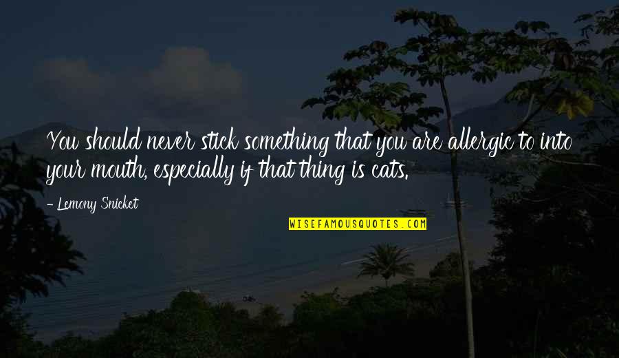 Zdradzil Quotes By Lemony Snicket: You should never stick something that you are Zdradzil Quotes By Lemony Snicket: You should never stick something that you are