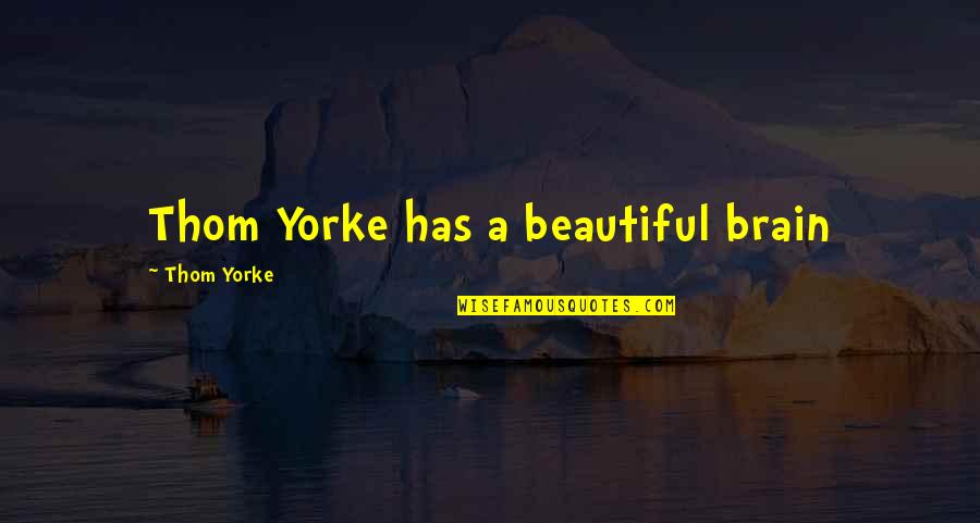 Zdreanta Quotes By Thom Yorke: Thom Yorke has a beautiful brain Zdreanta Quotes By Thom Yorke: Thom Yorke has a beautiful brain