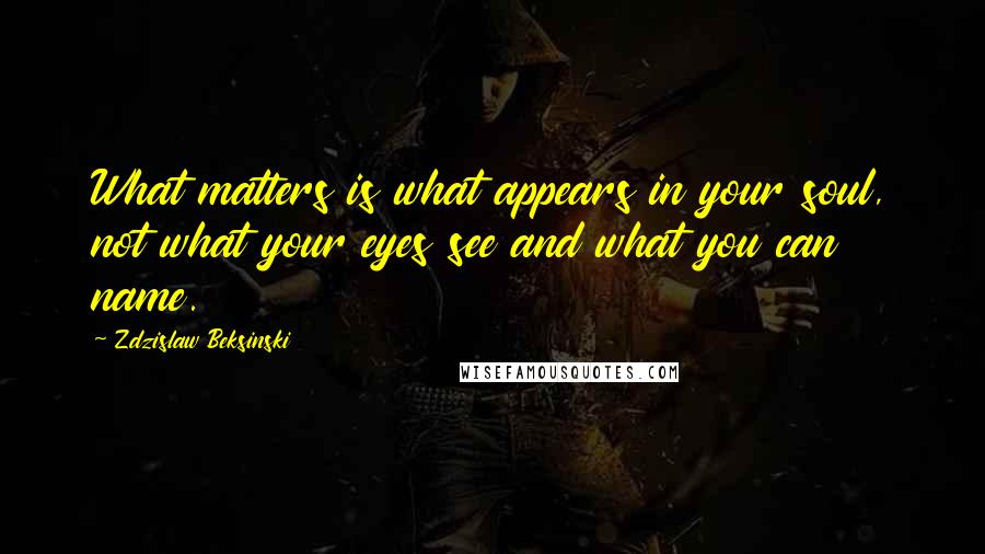 Zdzislaw Beksinski quotes: What matters is what appears in your soul, not what your eyes see and what you can name.