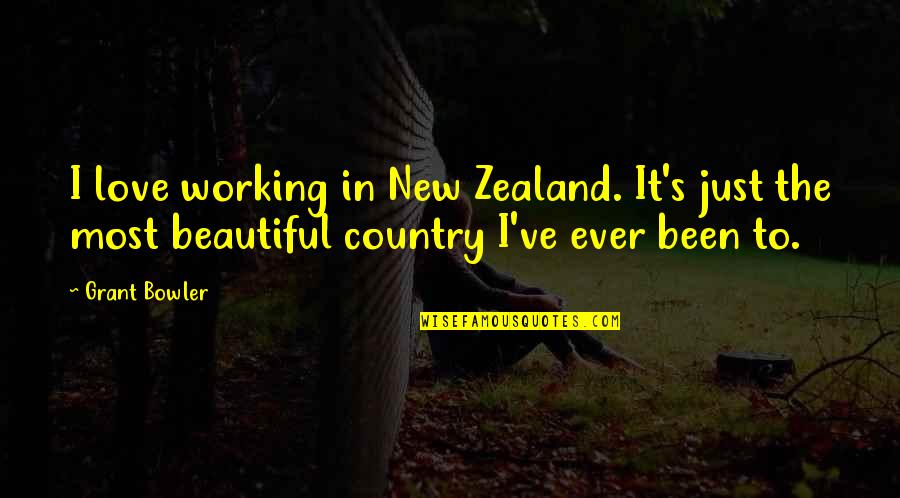 Zealand's Quotes By Grant Bowler: I love working in New Zealand. It's just
