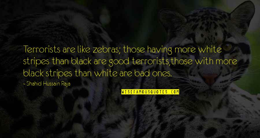 Zebras Quotes By Shahid Hussain Raja: Terrorists are like zebras; those having more white