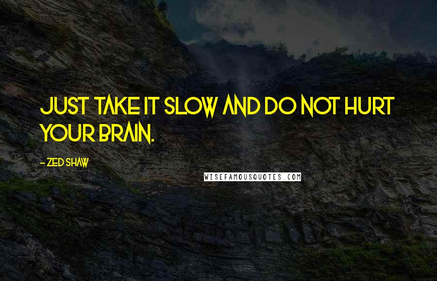Zed Shaw quotes: Just take it slow and do not hurt your brain.