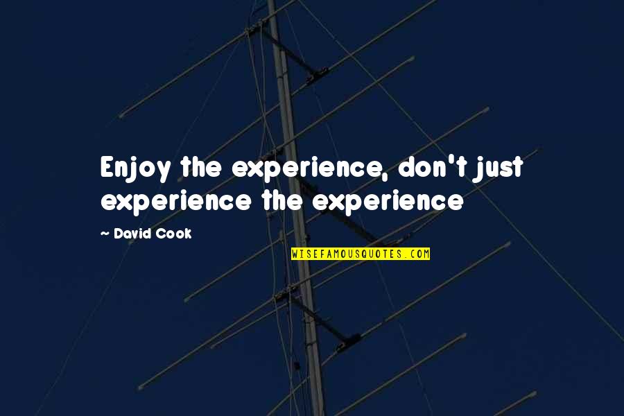 Zedoug Quotes By David Cook: Enjoy the experience, don't just experience the experience