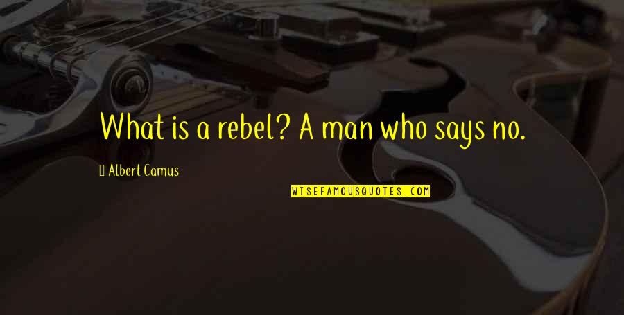 Zeedijk 60 Quotes By Albert Camus: What is a rebel? A man who says Zeedijk 60 Quotes By Albert Camus: What is a rebel? A man who says