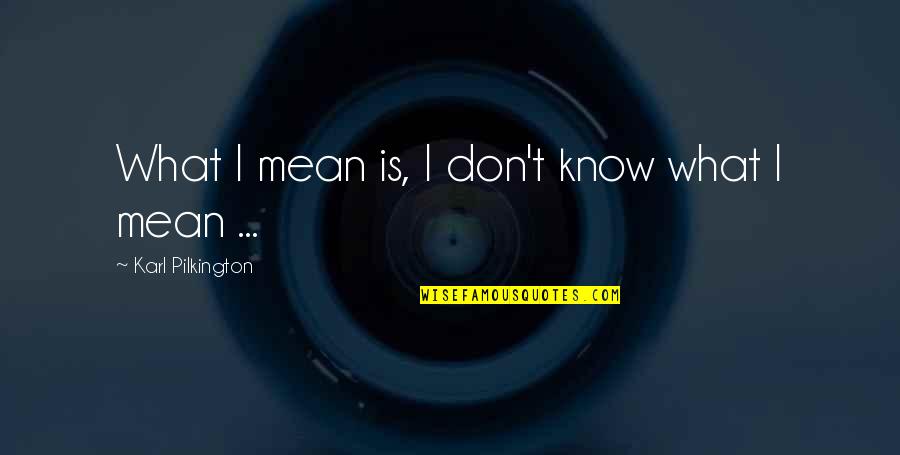 Zeenat Khan Quotes By Karl Pilkington: What I mean is, I don't know what Zeenat Khan Quotes By Karl Pilkington: What I mean is, I don't know what