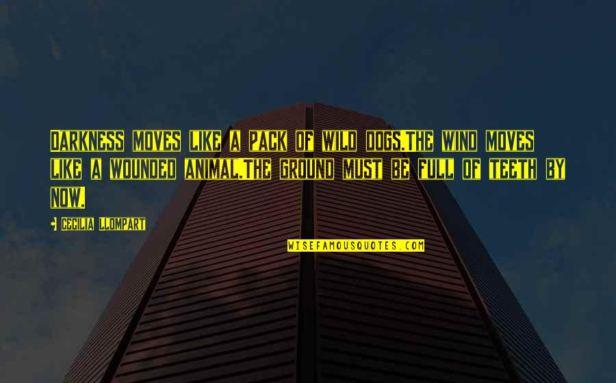 Zef Zakaveli Quotes By Cecilia Llompart: Darkness moves like a pack of wild dogs.The
