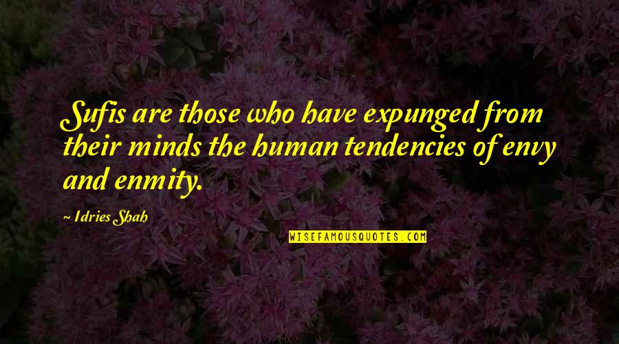 Zekalar Liseyi Quotes By Idries Shah: Sufis are those who have expunged from their