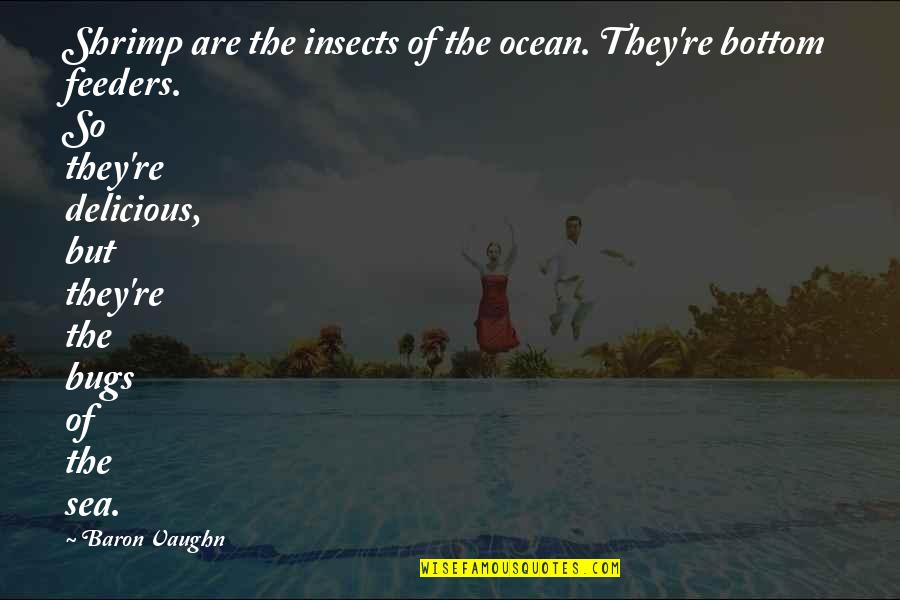 Zelana Bloodroot Quotes By Baron Vaughn: Shrimp are the insects of the ocean. They're Zelana Bloodroot Quotes By Baron Vaughn: Shrimp are the insects of the ocean. They're