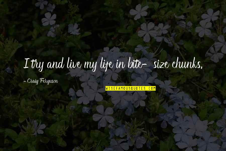 Zelda Vaati Quotes By Craig Ferguson: I try and live my life in bite-size Zelda Vaati Quotes By Craig Ferguson: I try and live my life in bite-size