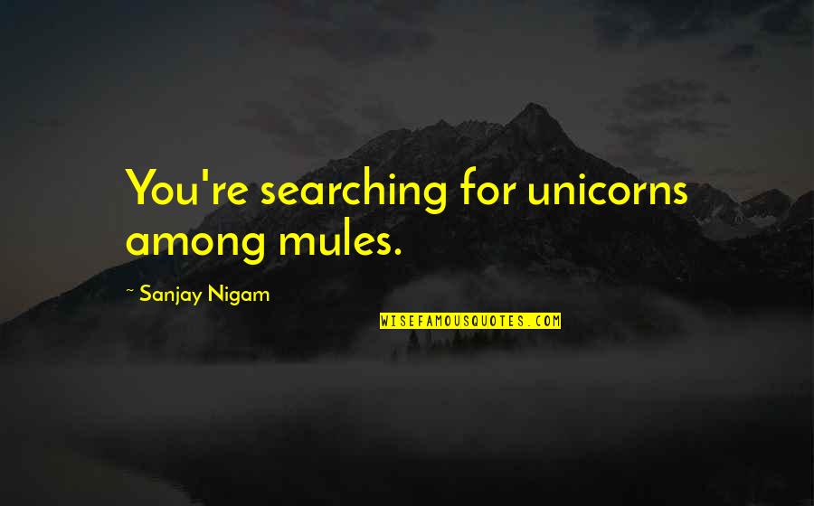 Zelena Quotes By Sanjay Nigam: You're searching for unicorns among mules.