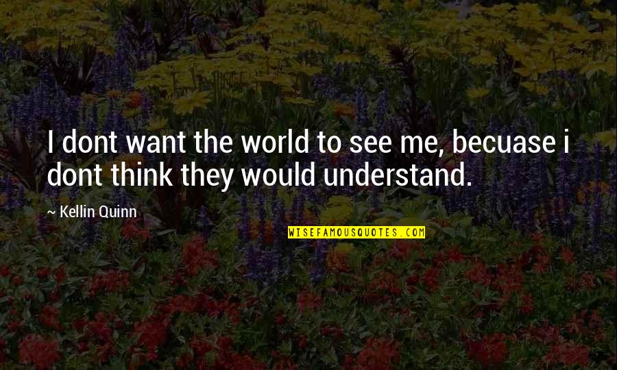 Zeligson V Quotes By Kellin Quinn: I dont want the world to see me,
