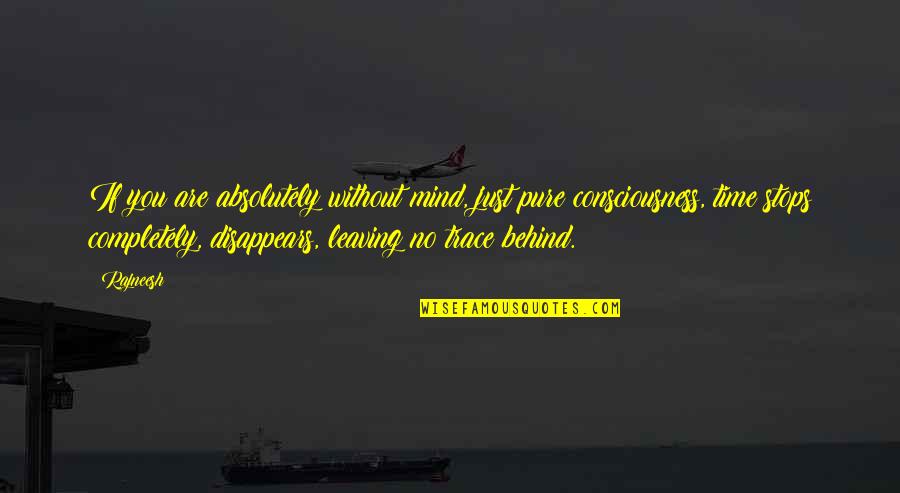 Zeljko Vasic Quotes By Rajneesh: If you are absolutely without mind, just pure
