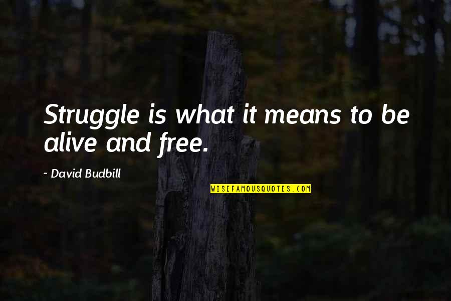 Zelos Quotes By David Budbill: Struggle is what it means to be alive Zelos Quotes By David Budbill: Struggle is what it means to be alive