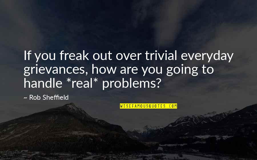 Zember Realty Quotes By Rob Sheffield: If you freak out over trivial everyday grievances,