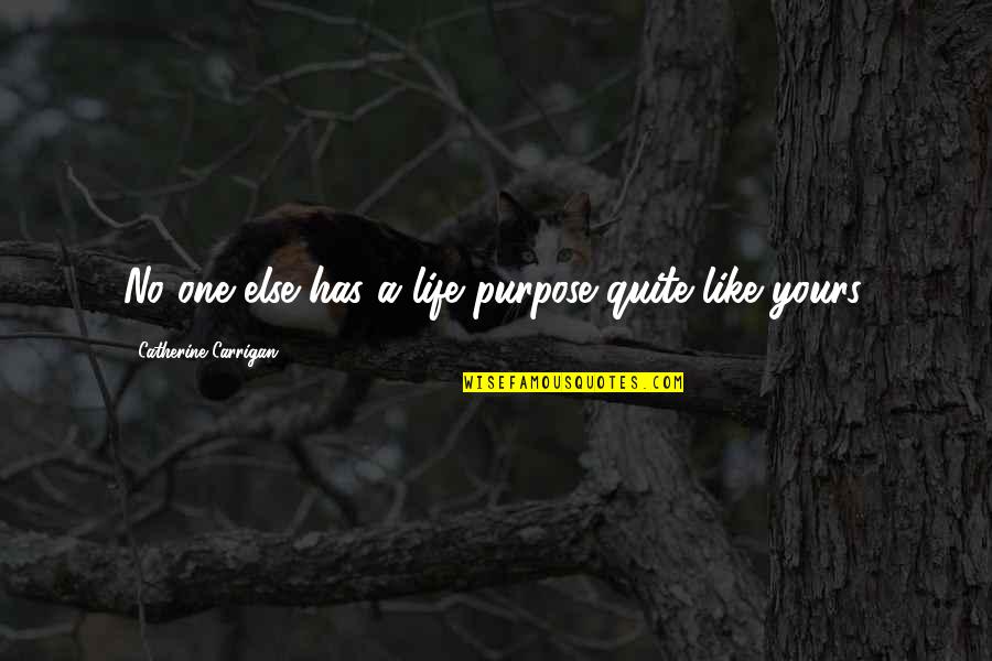 Zendl Accessories Quotes By Catherine Carrigan: No one else has a life purpose quite Zendl Accessories Quotes By Catherine Carrigan: No one else has a life purpose quite