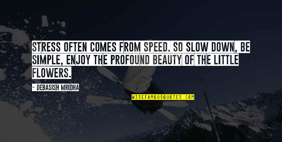 Zengo Nyc Quotes By Debasish Mridha: Stress often comes from speed. So slow down,