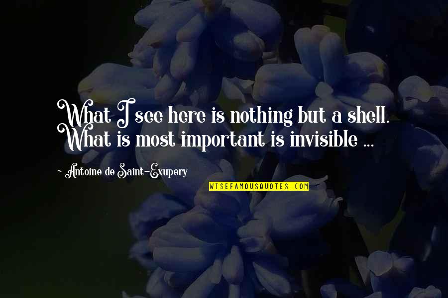 Zenosyne Quotes By Antoine De Saint-Exupery: What I see here is nothing but a Zenosyne Quotes By Antoine De Saint-Exupery: What I see here is nothing but a