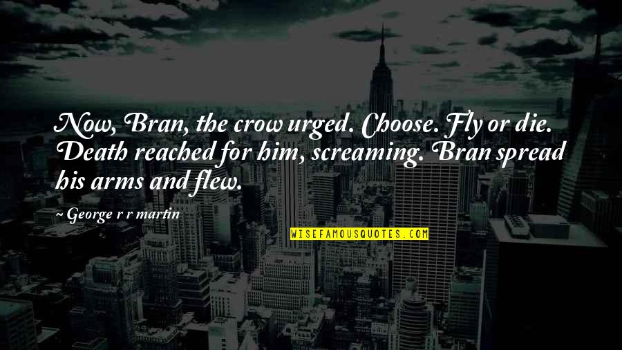Zentarra Quotes By George R R Martin: Now, Bran, the crow urged. Choose. Fly or
