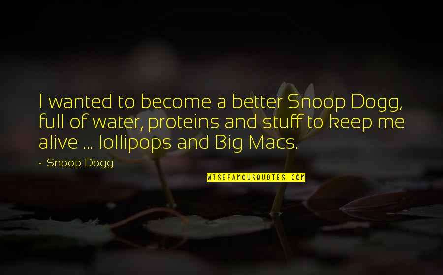 Zephire Quotes By Snoop Dogg: I wanted to become a better Snoop Dogg, Zephire Quotes By Snoop Dogg: I wanted to become a better Snoop Dogg,
