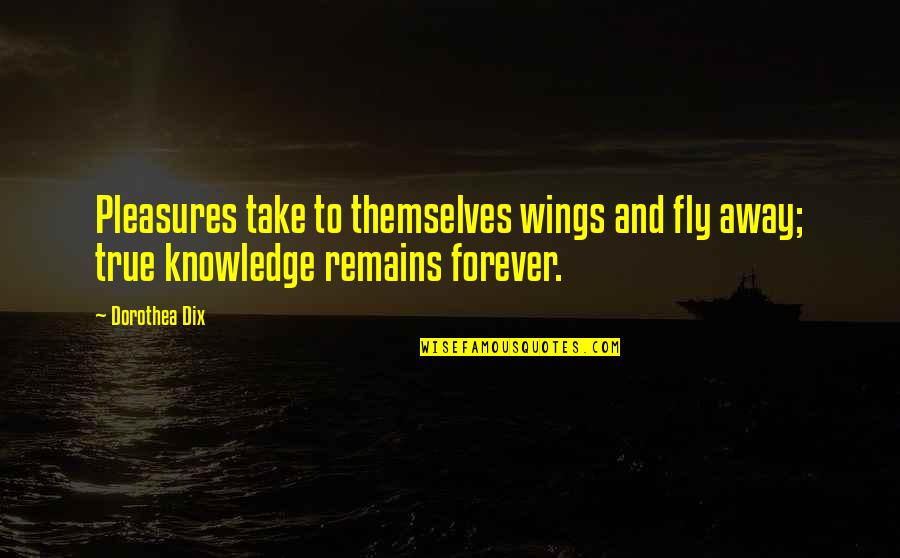 Zerega Dayhab Quotes By Dorothea Dix: Pleasures take to themselves wings and fly away;