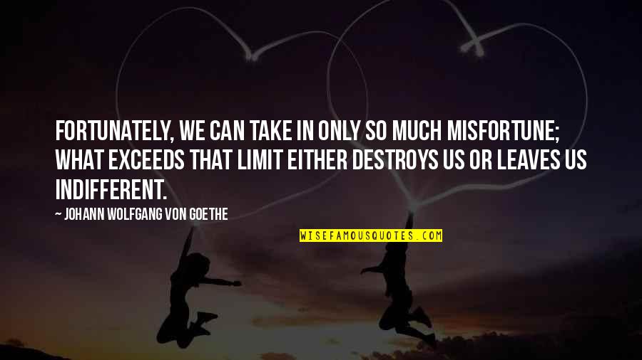Zeri Ne Bosanilmis Kadin Quotes By Johann Wolfgang Von Goethe: Fortunately, we can take in only so much Zeri Ne Bosanilmis Kadin Quotes By Johann Wolfgang Von Goethe: Fortunately, we can take in only so much