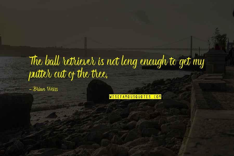 Zerkall Printmaking Quotes By Brian Weiss: The ball retriever is not long enough to