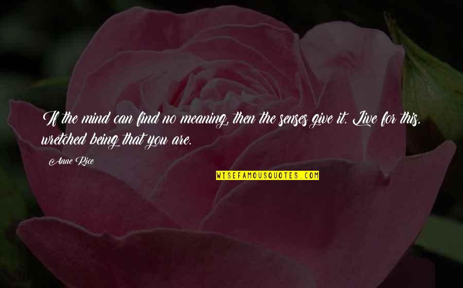 Zerubavel Islands Quotes By Anne Rice: If the mind can find no meaning, then