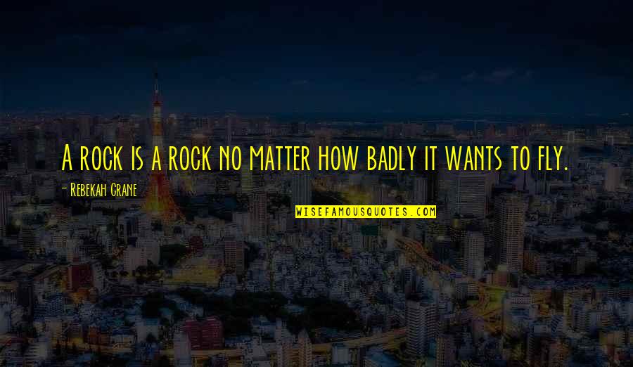Zetlin De Chiara Quotes By Rebekah Crane: A rock is a rock no matter how