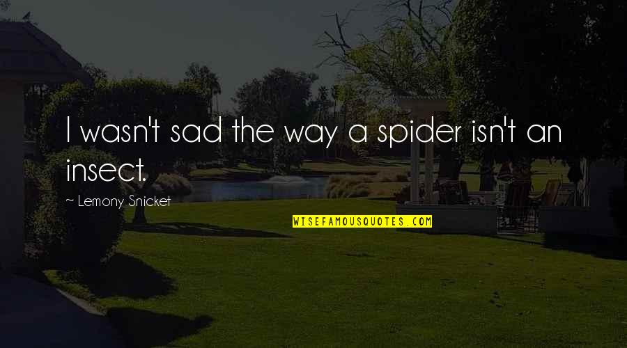 Zettler Hardware Powell Quotes By Lemony Snicket: I wasn't sad the way a spider isn't