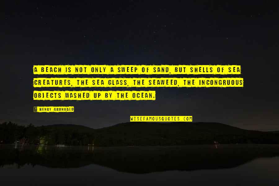 Zhadius Quotes By Henry Grunwald: A beach is not only a sweep of Zhadius Quotes By Henry Grunwald: A beach is not only a sweep of