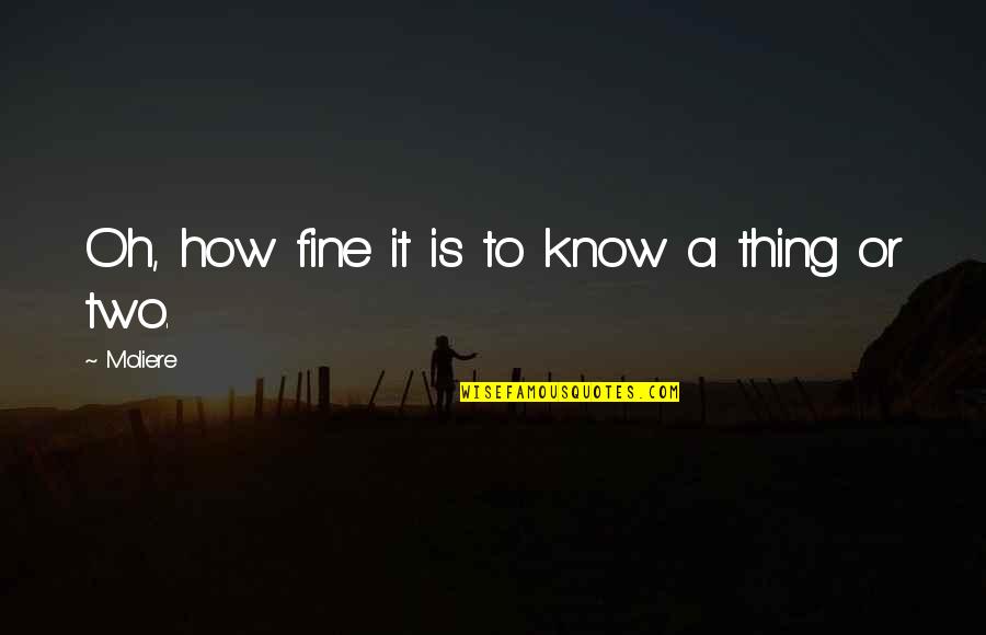 Zhaoxing China Quotes By Moliere: Oh, how fine it is to know a