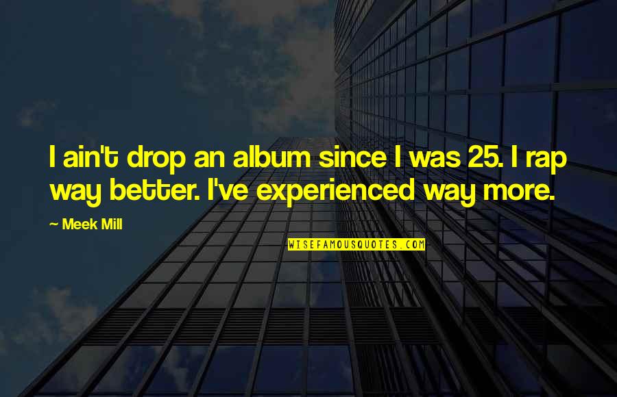Zhdanov Tno Quotes By Meek Mill: I ain't drop an album since I was