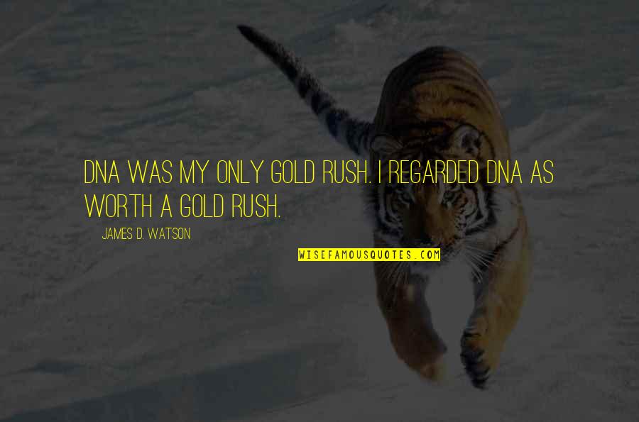 Zhimoto Quotes By James D. Watson: DNA was my only gold rush. I regarded