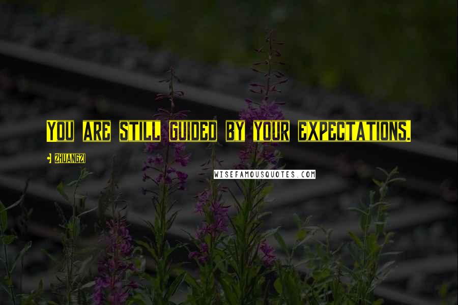 Zhuangzi quotes: You are still guided by your expectations.