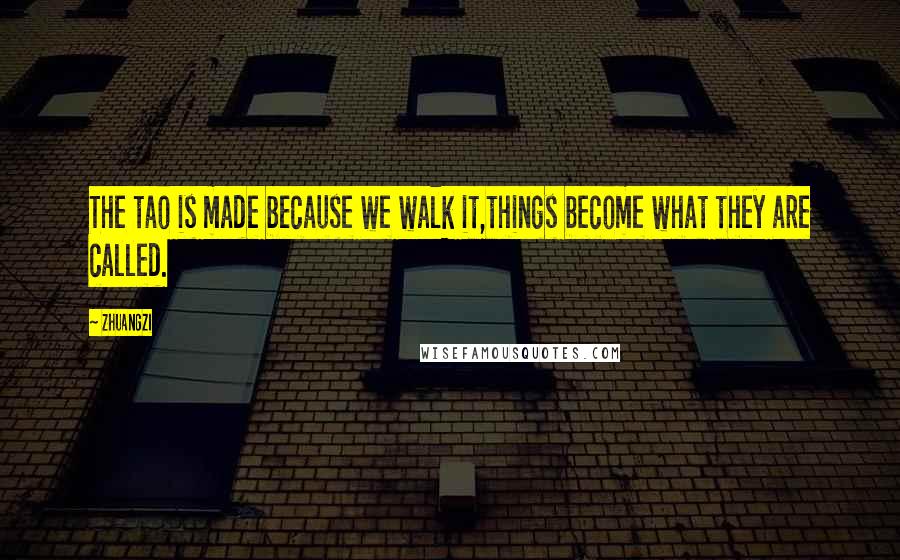 Zhuangzi quotes: The tao is made because we walk it,things become what they are called.