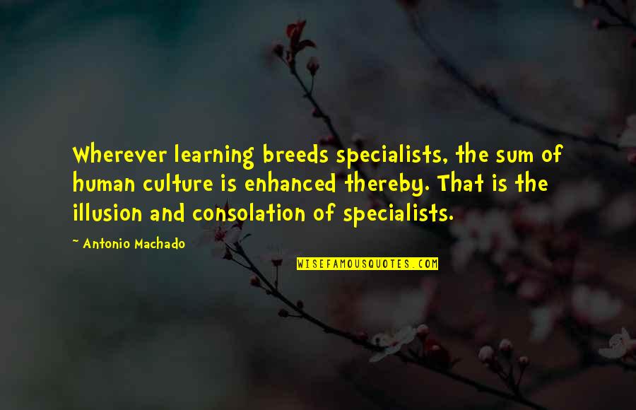 Ziceai Quotes By Antonio Machado: Wherever learning breeds specialists, the sum of human Ziceai Quotes By Antonio Machado: Wherever learning breeds specialists, the sum of human