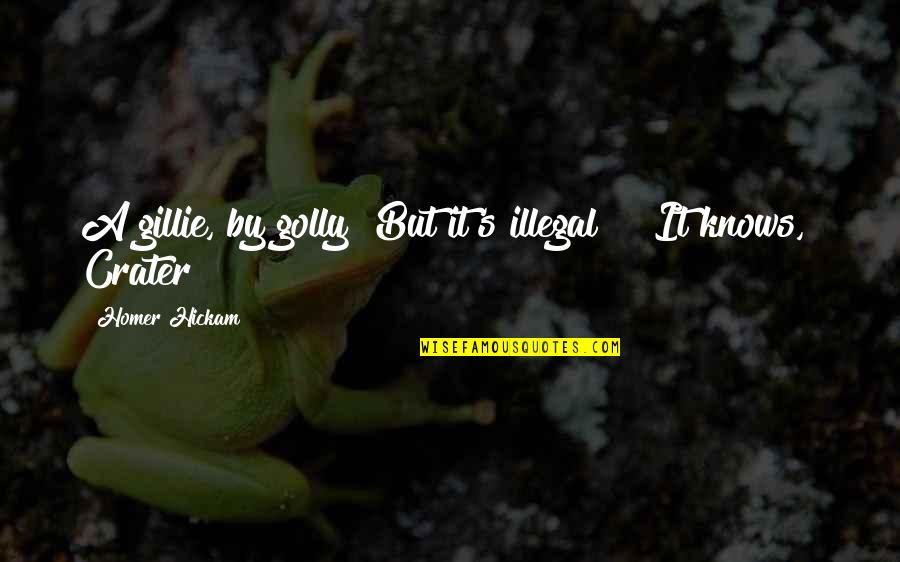 Zicherman Herman Quotes By Homer Hickam: A gillie, by golly! But it's illegal!" "It