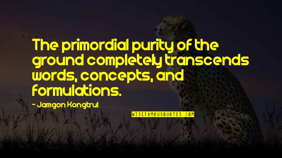 Zichtbaar Spectrum Quotes By Jamgon Kongtrul: The primordial purity of the ground completely transcends