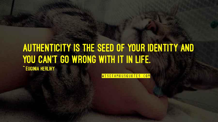 Zichtbare Kometen Quotes By Euginia Herlihy: Authenticity is the seed of your identity and