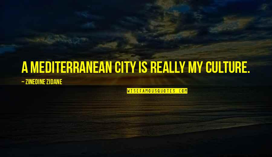 Zidane Quotes By Zinedine Zidane: A Mediterranean city is really my culture.