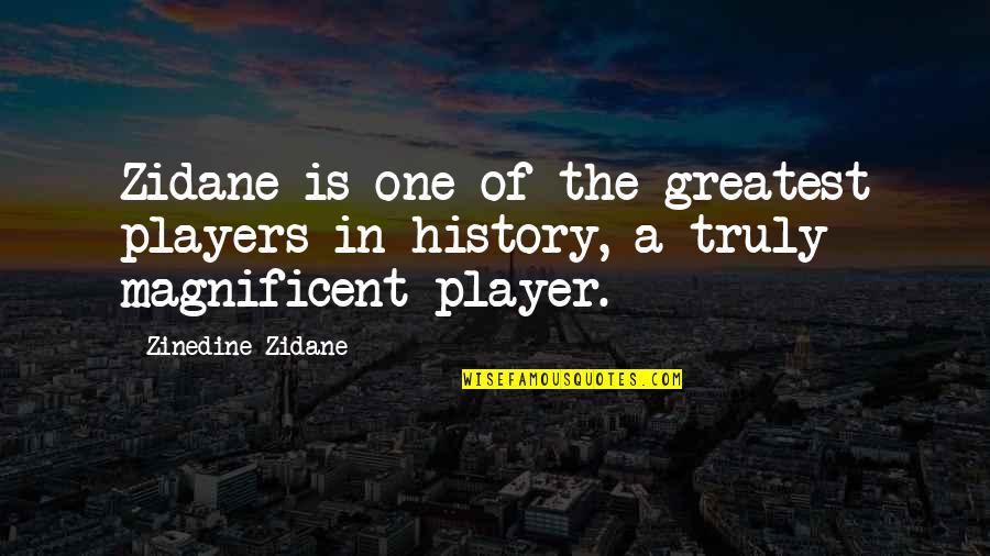 Zidane Quotes By Zinedine Zidane: Zidane is one of the greatest players in