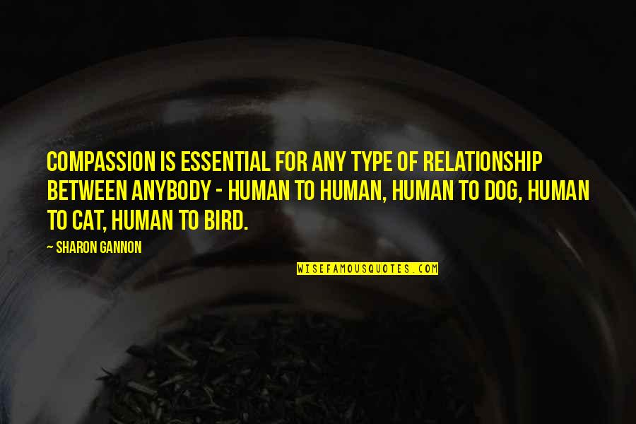 Zidinei Quotes By Sharon Gannon: Compassion is essential for any type of relationship Zidinei Quotes By Sharon Gannon: Compassion is essential for any type of relationship