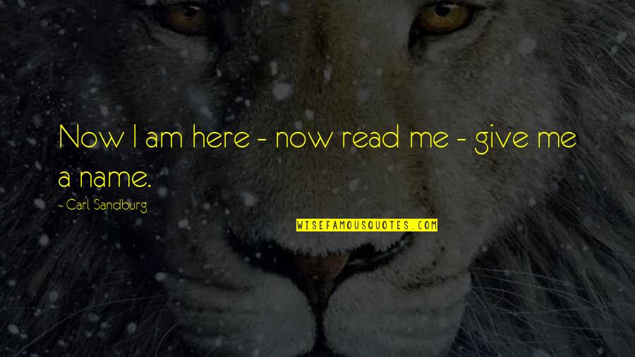 Zie Je Graag Quotes By Carl Sandburg: Now I am here - now read me