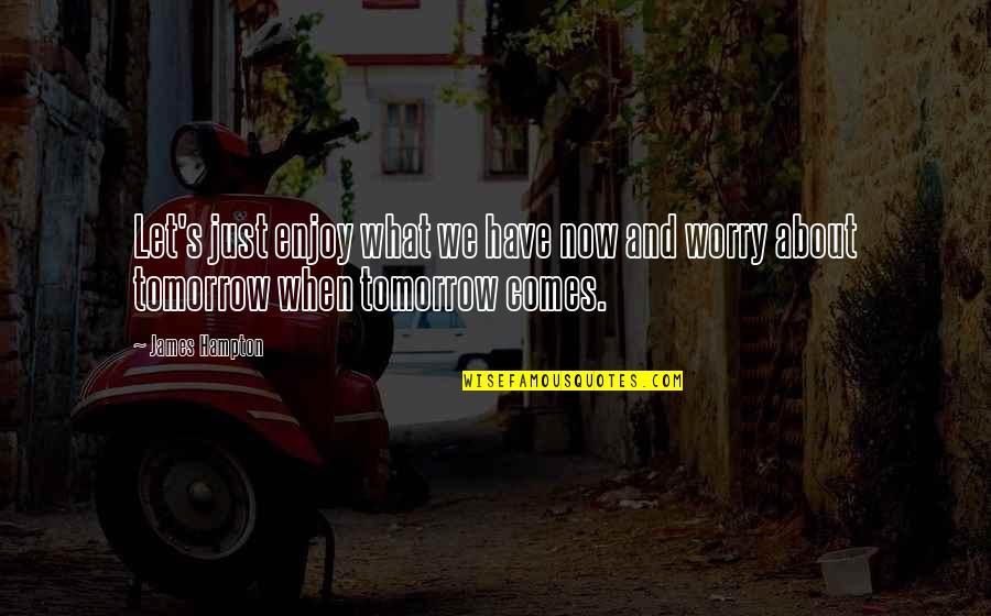 Zieger Sons Quotes By James Hampton: Let's just enjoy what we have now and