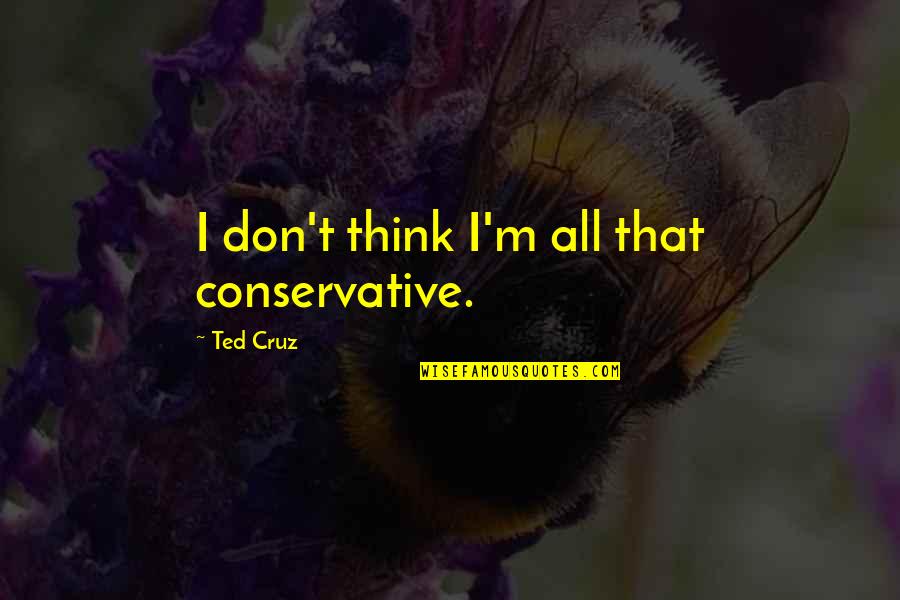 Ziemlich Beste Freunde Quotes By Ted Cruz: I don't think I'm all that conservative.