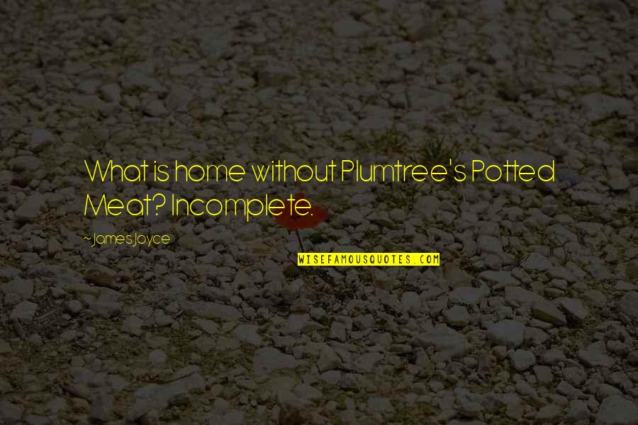 Zients Quotes By James Joyce: What is home without Plumtree's Potted Meat? Incomplete.