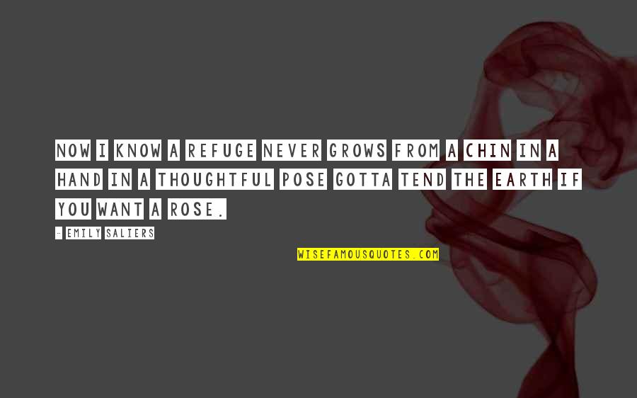 Zieta Quotes By Emily Saliers: Now I know a refuge never grows from Zieta Quotes By Emily Saliers: Now I know a refuge never grows from