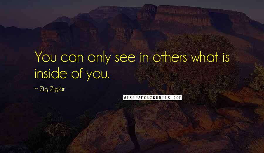 Zig Ziglar quotes: You can only see in others what is inside of you.